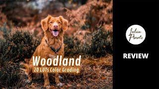 Woodland LUTs | LUTs Pack | Video Editing | Look Up Table | Video Presets | Color Grading | Film LUT