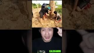 SUARA TANGISAN DARI DALAM POHON KERING, AKHIRNYA... | TikTok Kaleb Andri #shortvideo #alurcerita