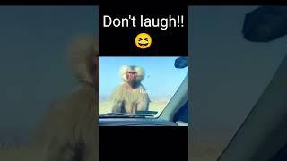 Funny Fails #3 | #shorts #fails #fail #funnyvideo #funny