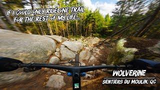 The BEST MTB Trail East of The Rockies!? Biking Wolverine at Sentiers Du Moulin