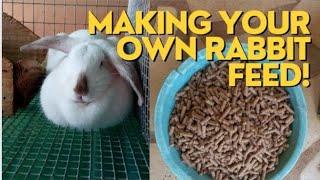 Make your Rabbit feed | Rabbit feed Formulation (Feed ingredients to use)