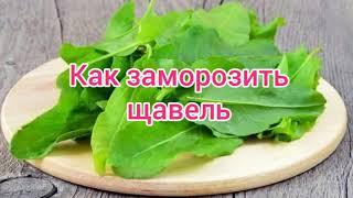 Как заморозить щавель