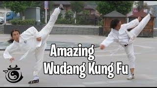 Amazing Wudang Kung Fu Demos | Return to Wudang | VLOG 45