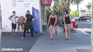 CRAZY CAMEL PRANK