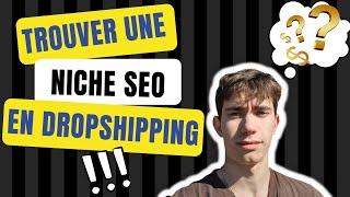 Comment trouver une bonne niche SEO en Dropshipping ?