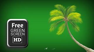 Palm tree animation green screen  | green screen palm tree | palm leaf background