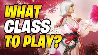 Black Desert Class Guide 2024 | What Is The NEW OP Class In 2024?