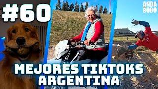 MEJORES TIKTOKS ARGENTINA #60