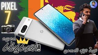 Google Pixel 7 | CAMERA ලොවේ PHOTOGRAPHY රජ්ජුරුවෝ ලංකාවේ අඩුම මිලට