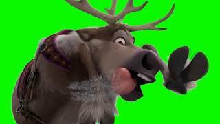 Footage on a green background reindeer  Футаж на зеленом фоне Северный олень