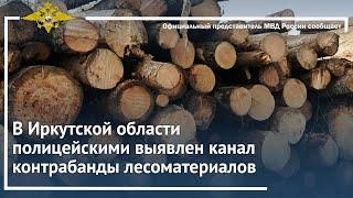 Ирина Волк: В Иркутской области полицейскими выявлен канал контрабанды лесоматериалов