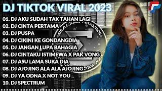 DJ AKU SUDAH TAK TAHAN LAGI || DJ JANGAN NGAREP REMIX VIRAL TIK TOK TERBARU 2023