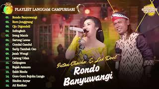 RONDO BANYUWANGI - INTAN CHACHA FT LEK DOEL | KOMPILASI LANGGAM CAMPURSARI KOPLO TERBARU 2025