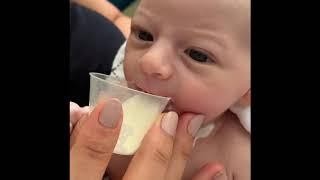 Newborn Cup Feeding