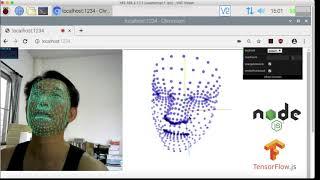 Raspberry pi TensorFlow.JS Facemesh