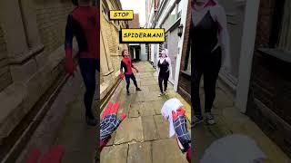 The Spider-Verse Is Real? 