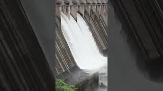 Water released downstream by lifting three gates of Srisailam dam