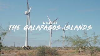 Big Guy Big World at one of the most remote places in the entire world- the Galápagos Islands! ️