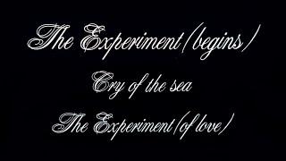 John Webb - The Experiment (Full 12-inch Single) NUMA Records 1985