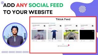 How to Add Social Media Feeds to Your Website (WordPress, Wix, Squarespace, Shopify, HTML, Webflow)