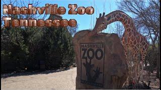 Our visit to the Nashville Zoo, Tennessee