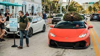 Making a Viral Video with MVP Exotics