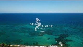 Sea Horse Ranch Resort Overview