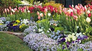 Linda Vater's Spring Tulip Garden 