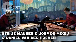 Steije Maurer & Joep de Mooij & Daniël van der Hoeven  - Klavierconcert nr.1: Allegro - J.S. Bach