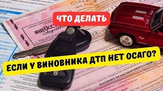 Что делать, если у виновника ДТП нет ОСАГО?