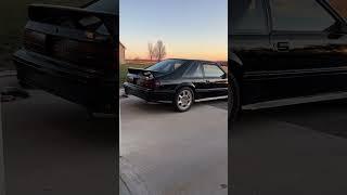 93 Mustang Cobra Trickflow Idle