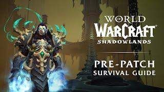 Shadowlands Pre-Expansion Patch Survival Guide