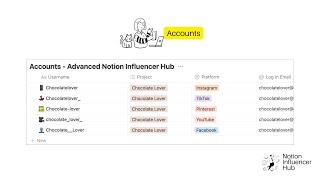 Notion Influencer Hub - Accounts