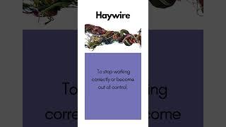 Haywire #english #vocabulary #education #learnenglish #dictionary #words #language #haywire