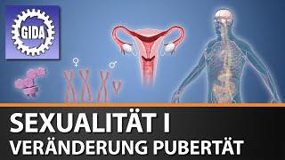 Trailer - Sexualität I - Veränderung Pupertät - Biologie - Schulfilm - GIDA