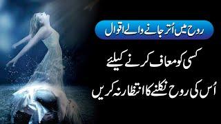 Rooh Mein Utar Jane Waly Aqwal | Urdu Motivational Quotes by Motivational gateway