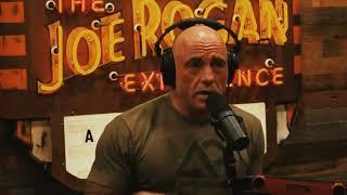 Joe Rogan discussing Rudy Kurniawan from the 2016 documentary "Sour Grapes"