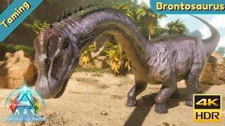 ARK Survival Ascended : Tame a Brontosaurus