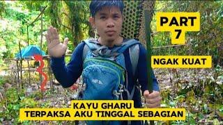 part 7 TAK KUAT MEMBAWA KAYU GHARU DI TINGGAL PINDAH KE ATAS GUNUNG