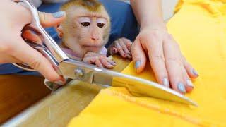 Monkey PUPU was attentive as his MOM sewed new clothes for him