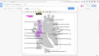 Using the drawing tool in Google Docs