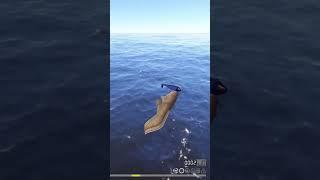 тонны менька на 75 банке   #russianfishing4