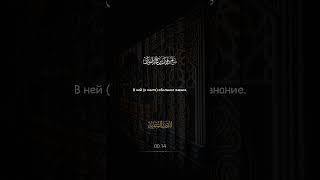 «Ад-Дурар ас-Сания - великое послание ученых Неджда | Шейх Солих аль-Фаузан