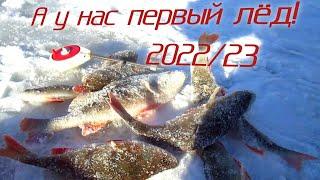 У НАС ПЕРВОЛЕДИЕ 2022 / 23! ПОДВОДНЫЙ МИР ОКУНЕЙ! РЫБАЛКА НА МОРМЫШКУ!!!