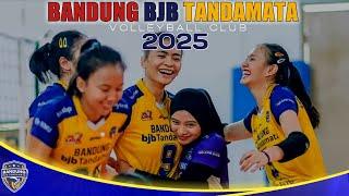 TERBARU...!!! DAFTAR SQUAD BANDUNG BJB TANDAMATA JADI SALAH SATU KANDIDAT TIM UNGGULAN PROLIGA 2025