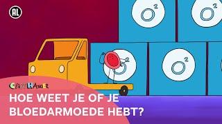 Wat is bloedarmoede?