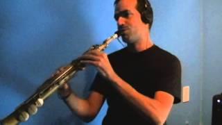 Can You Read My Mind - Soprano Sax Solo by Nelson Bandeira