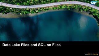 Data Lake Files and SQL on Files - SAP HANA Cloud