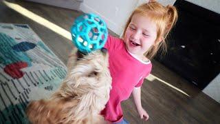 SURPRISING ADLEY with a PUPPY!! (Hiding a Pet Dog in her Room) and backyard fun playing a new game!
