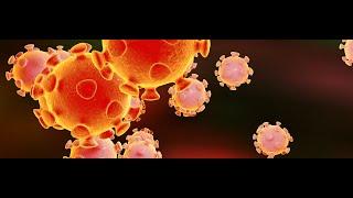 Corona Viruses (Covid-19) (1) S01-25 Microbiology MCQs